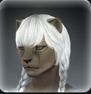 Hair 110
