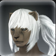 Hair 103