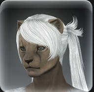 Hair 107