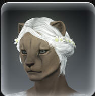 Hair 61