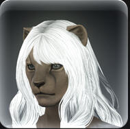 Hair 119