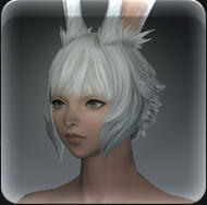 Hair 144