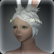 Hair 61