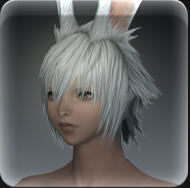Hair 160