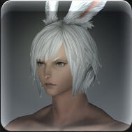 Hair 141