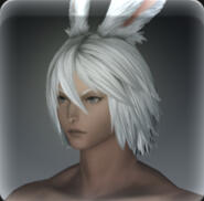 Hair 148