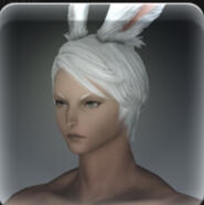 Hair 61