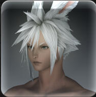 Hair 113