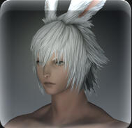 Hair 160