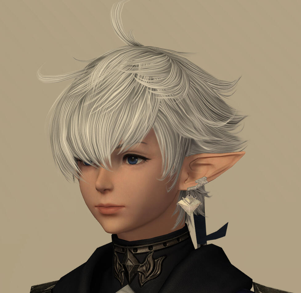 NPC Hair 201