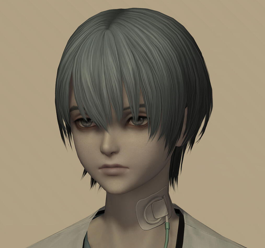 NPC Hair 203