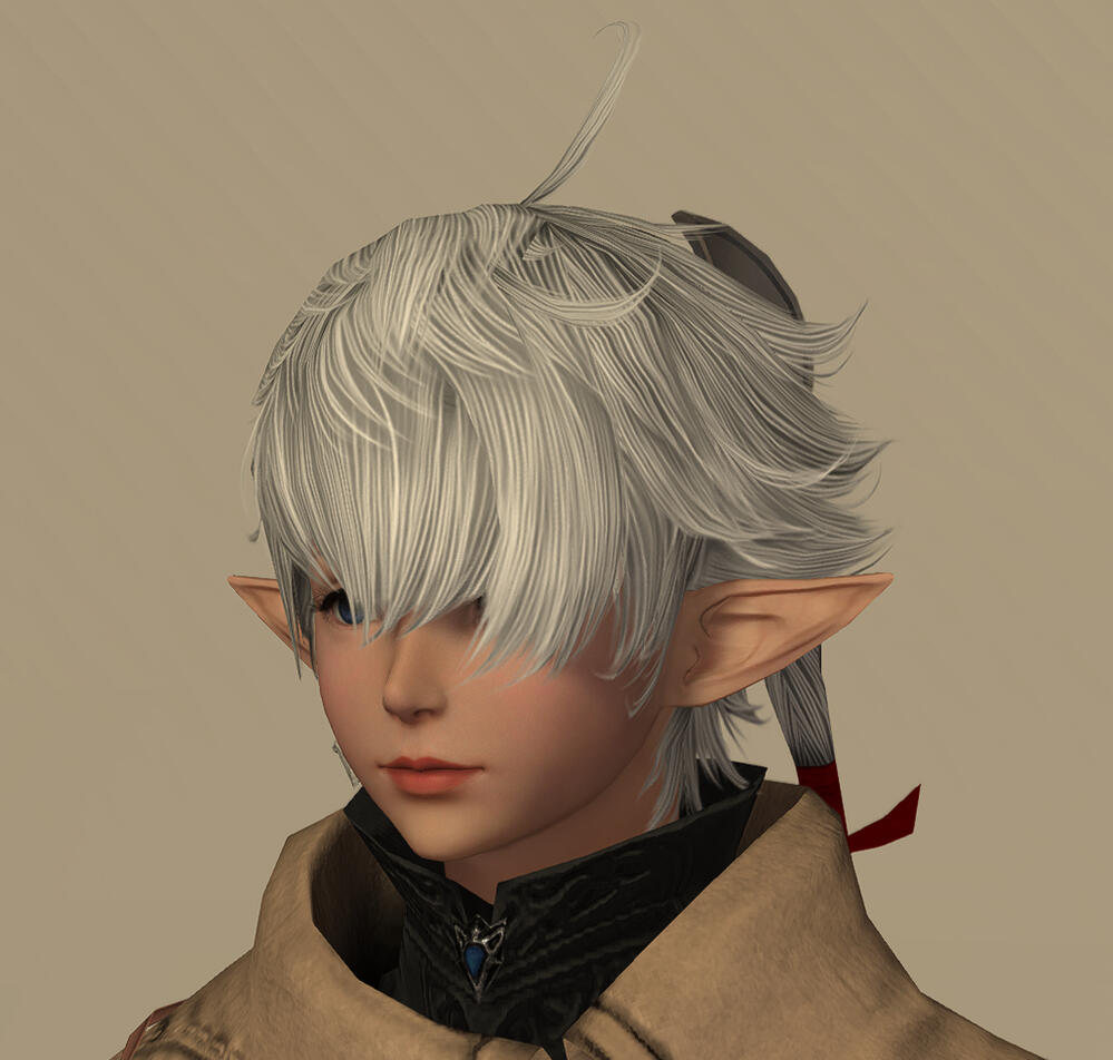NPC Hair 201
