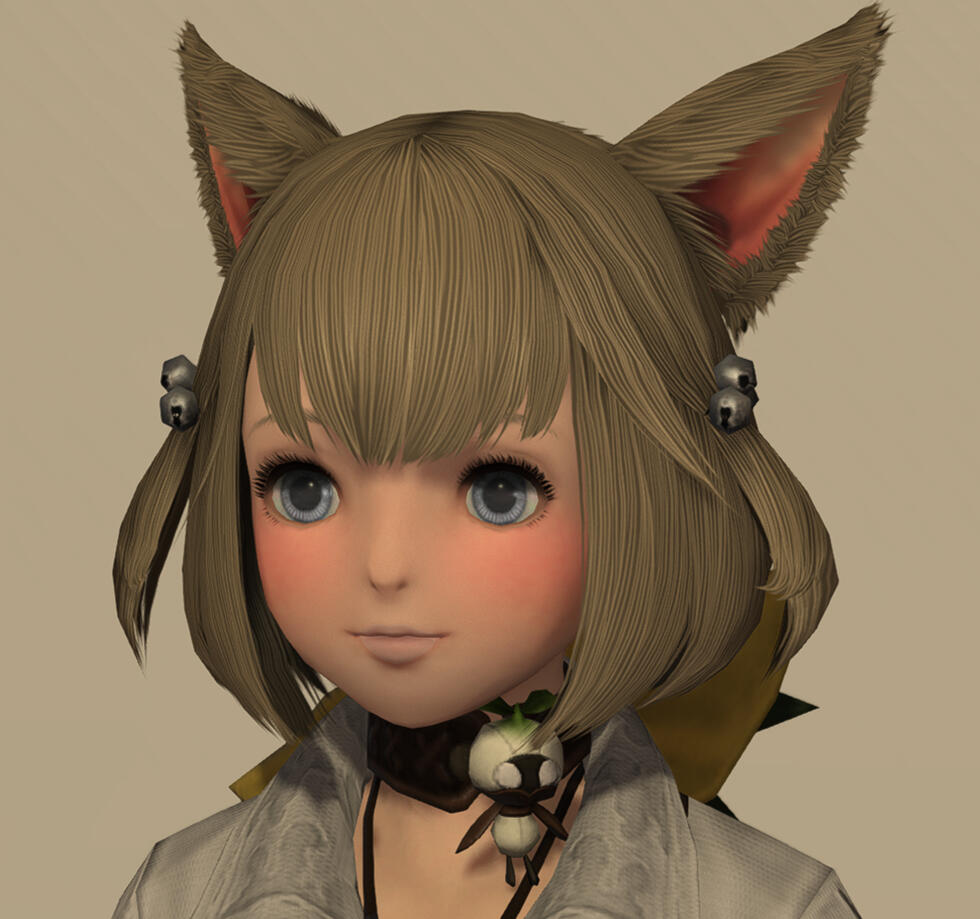 NPC Hair 201