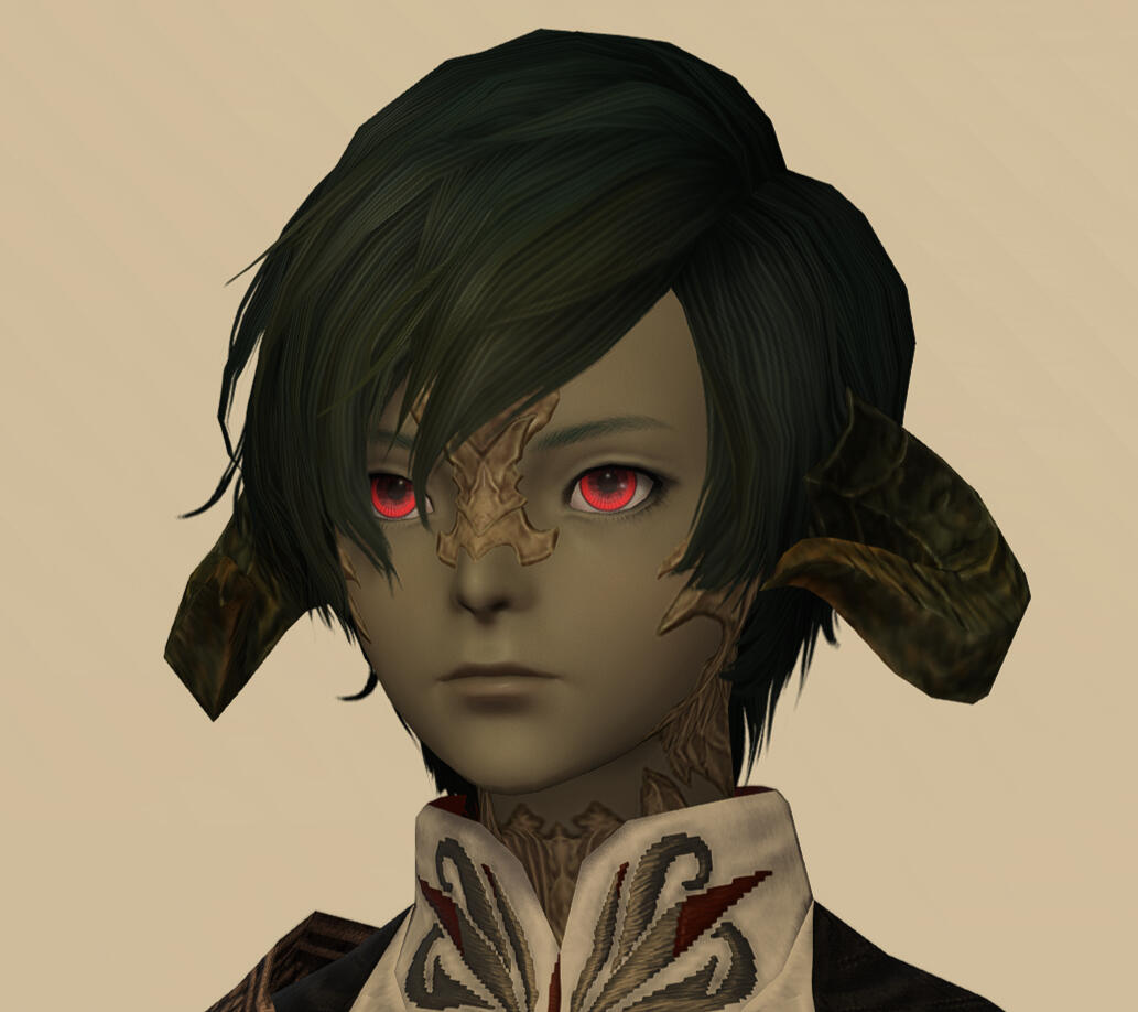NPC Hair 201